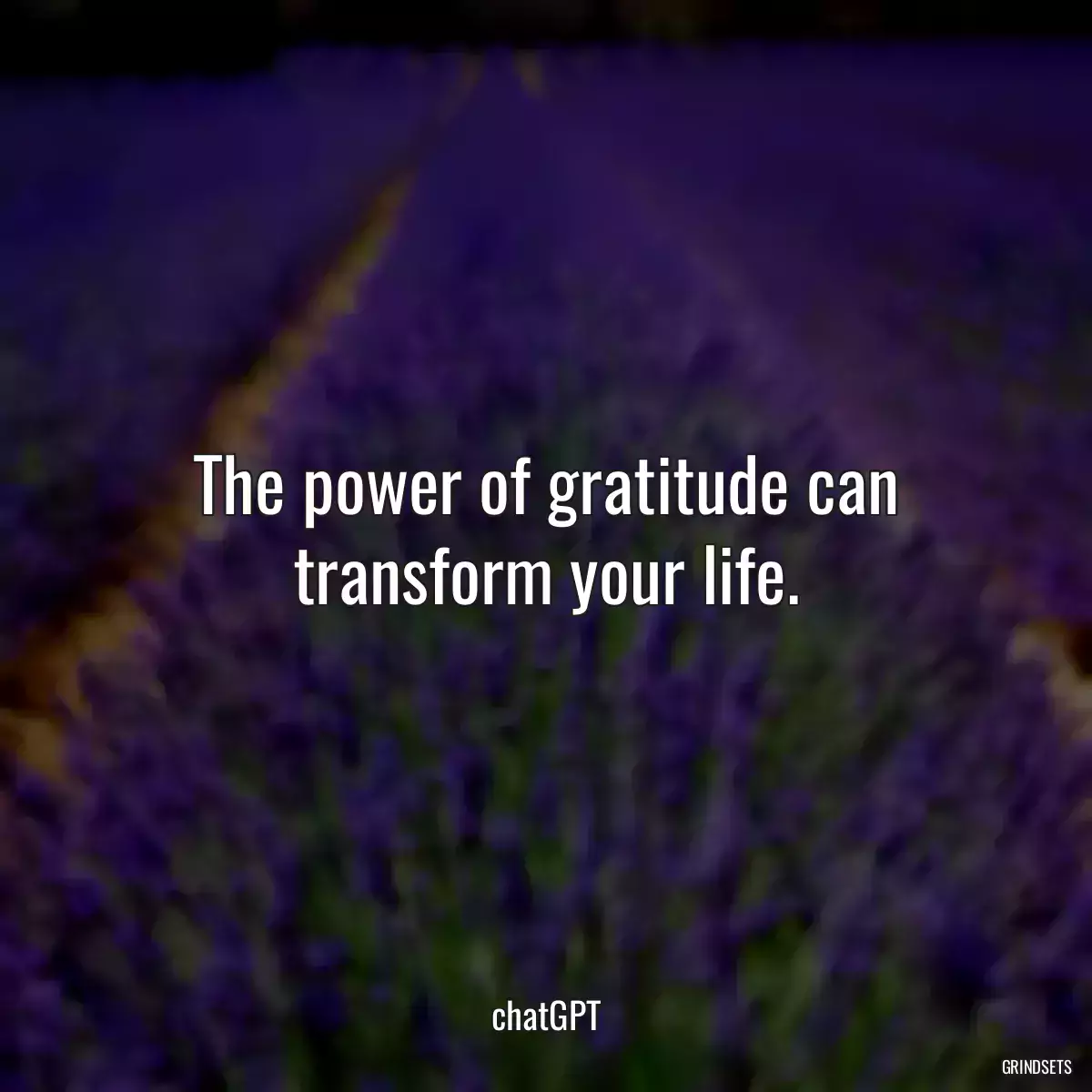 The power of gratitude can transform your life.