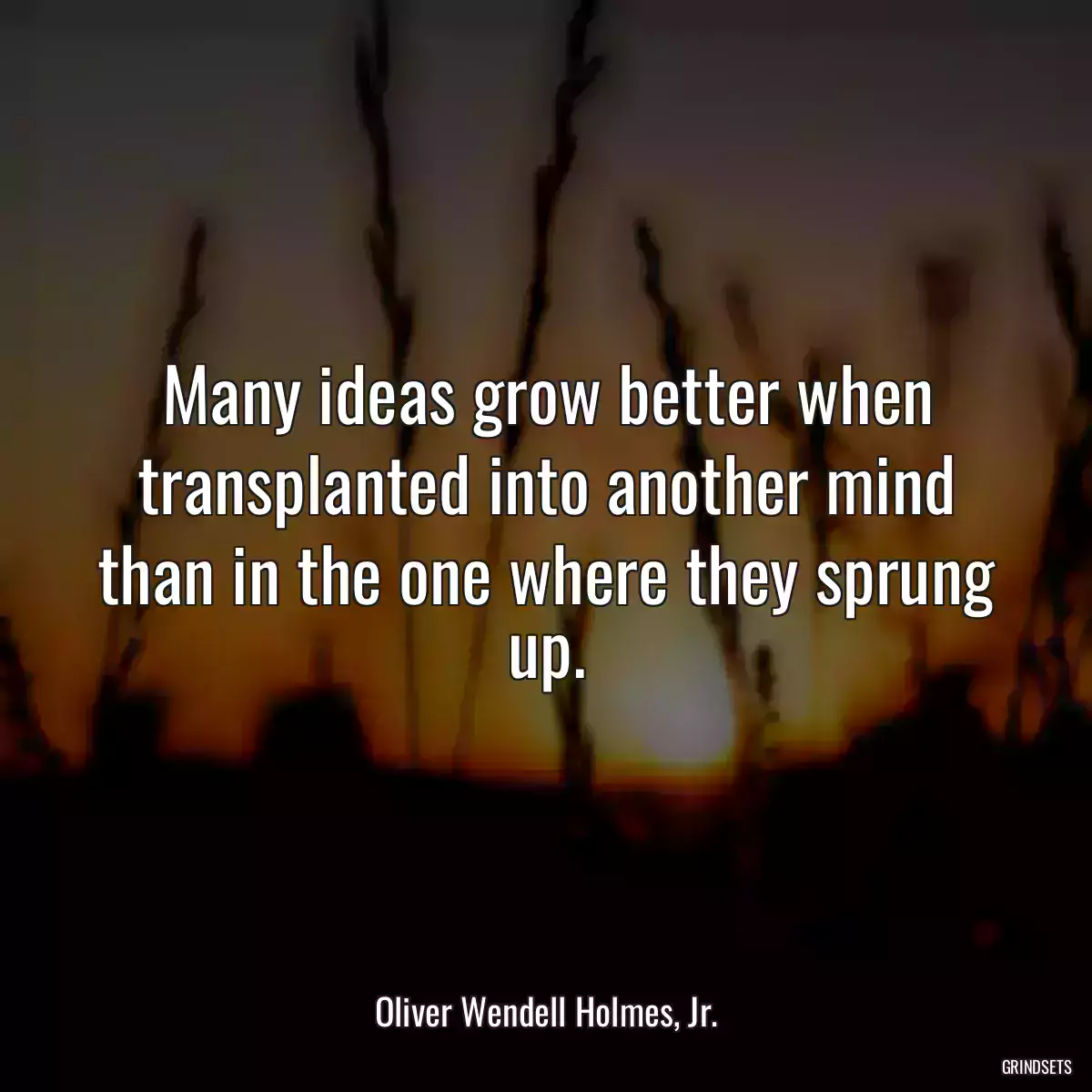 Many ideas grow better when transplanted into another mind than in the one where they sprung up.