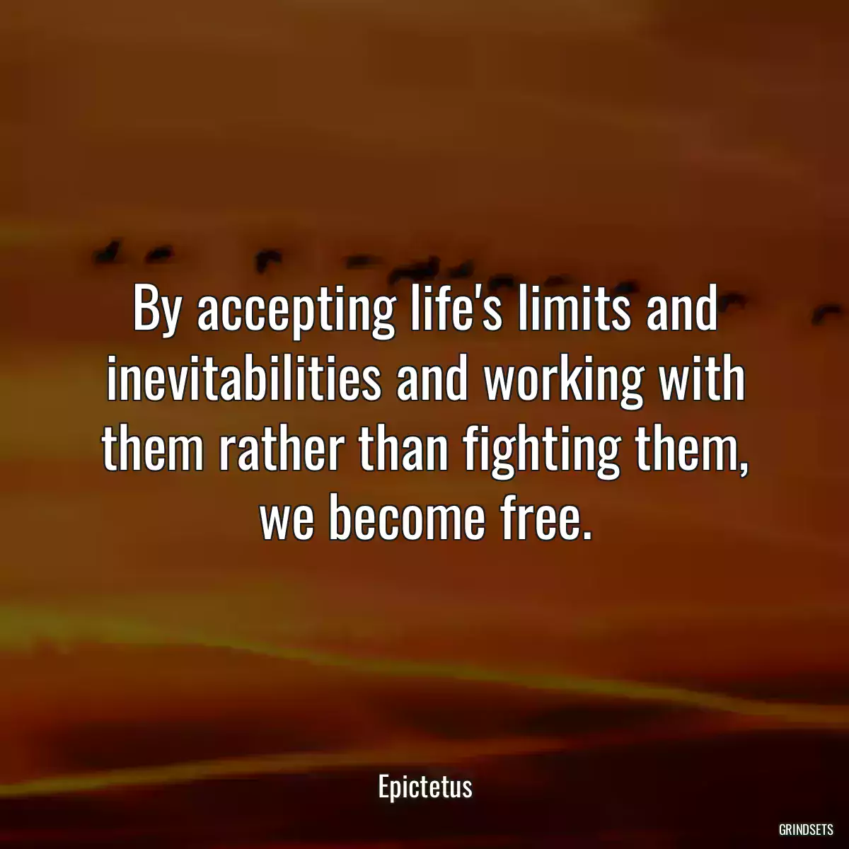 By accepting life\'s limits and inevitabilities and working with them rather than fighting them, we become free.