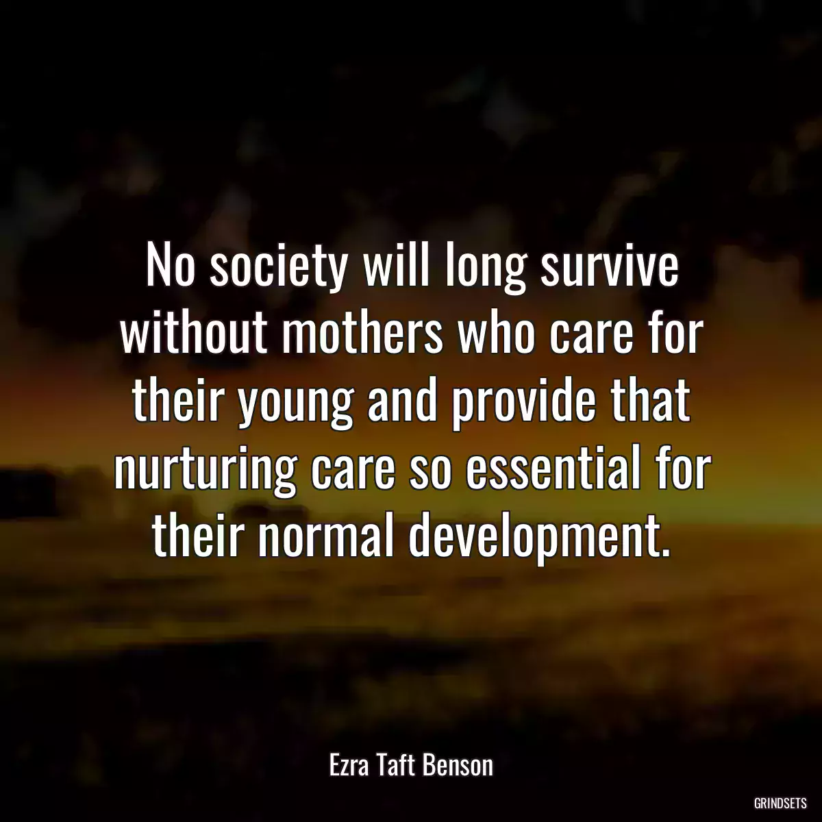 No society will long survive without mothers who care for their young and provide that nurturing care so essential for their normal development.