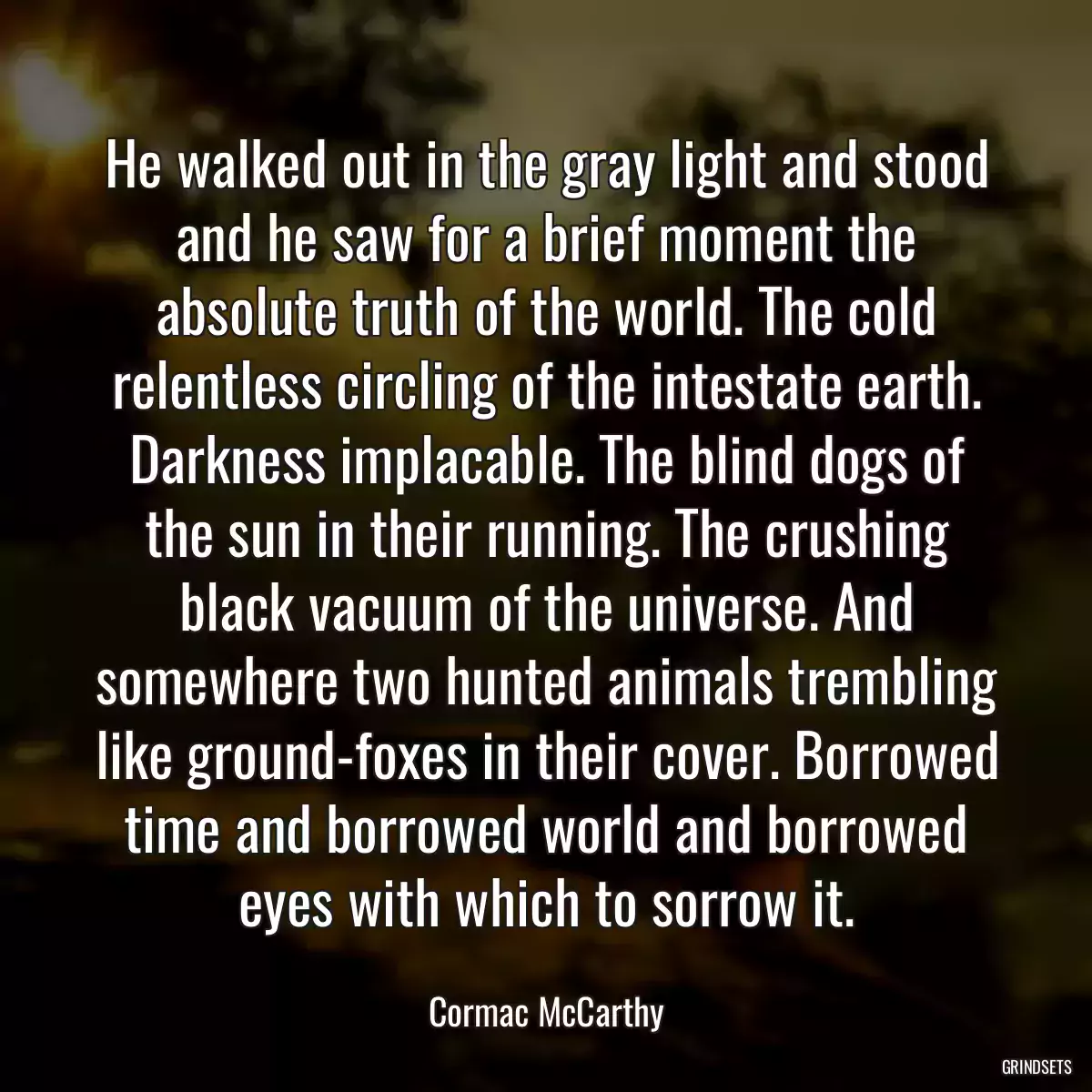 He walked out in the gray light and stood and he saw for a brief moment the absolute truth of the world. The cold relentless circling of the intestate earth. Darkness implacable. The blind dogs of the sun in their running. The crushing black vacuum of the universe. And somewhere two hunted animals trembling like ground-foxes in their cover. Borrowed time and borrowed world and borrowed eyes with which to sorrow it.