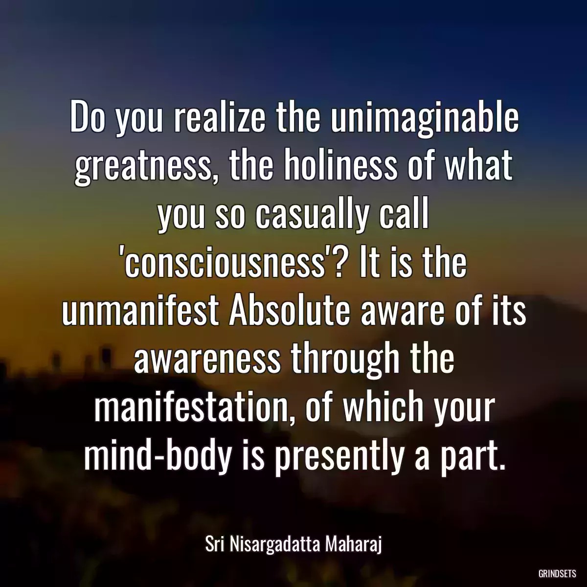 Do you realize the unimaginable greatness, the holiness of what you so casually call \'consciousness\'? It is the unmanifest Absolute aware of its awareness through the manifestation, of which your mind-body is presently a part.