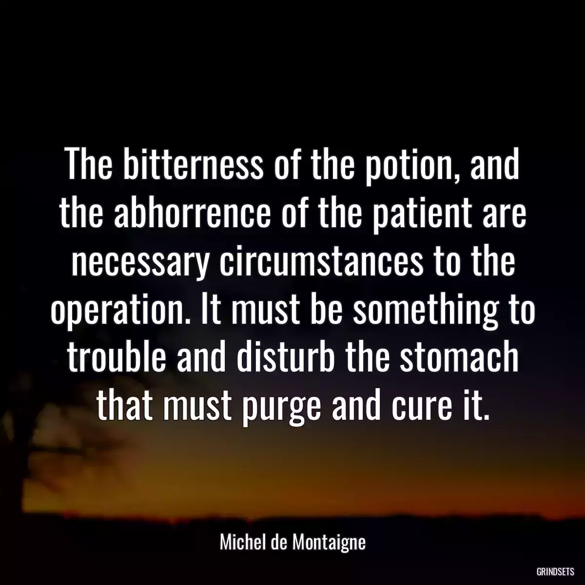 The bitterness of the potion, and the abhorrence of the patient are necessary circumstances to the operation. It must be something to trouble and disturb the stomach that must purge and cure it.