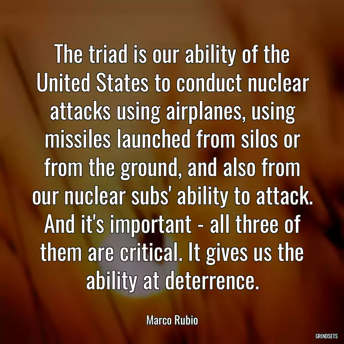 The triad is our ability of the United States to conduct nuclear attacks using airplanes, using missiles launched from silos or from the ground, and also from our nuclear subs\' ability to attack. And it\'s important - all three of them are critical. It gives us the ability at deterrence.