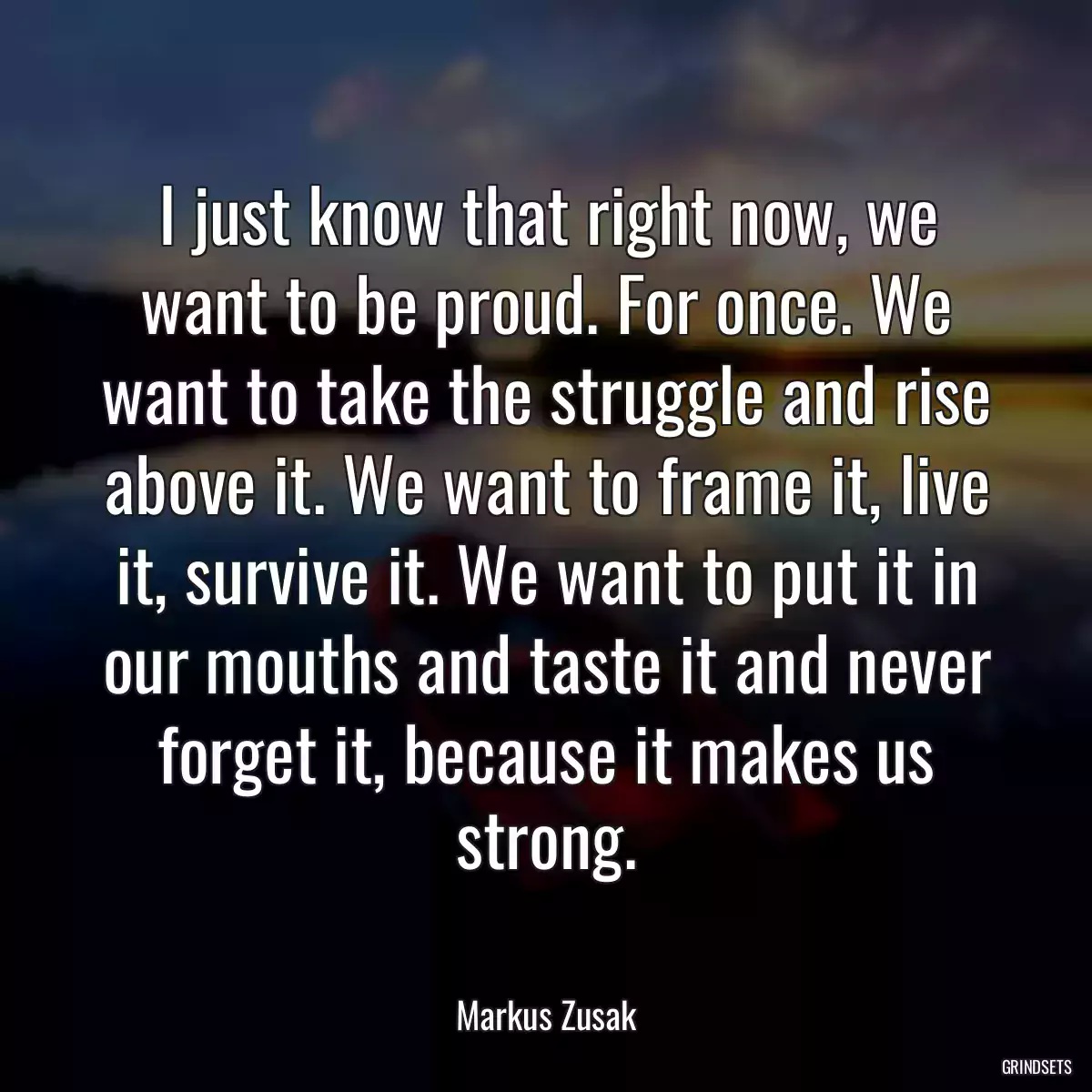 I just know that right now, we want to be proud. For once. We want to take the struggle and rise above it. We want to frame it, live it, survive it. We want to put it in our mouths and taste it and never forget it, because it makes us strong.