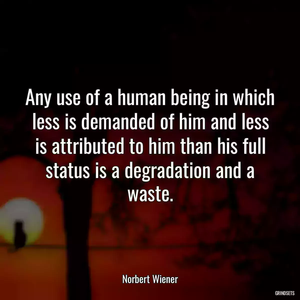 Any use of a human being in which less is demanded of him and less is attributed to him than his full status is a degradation and a waste.