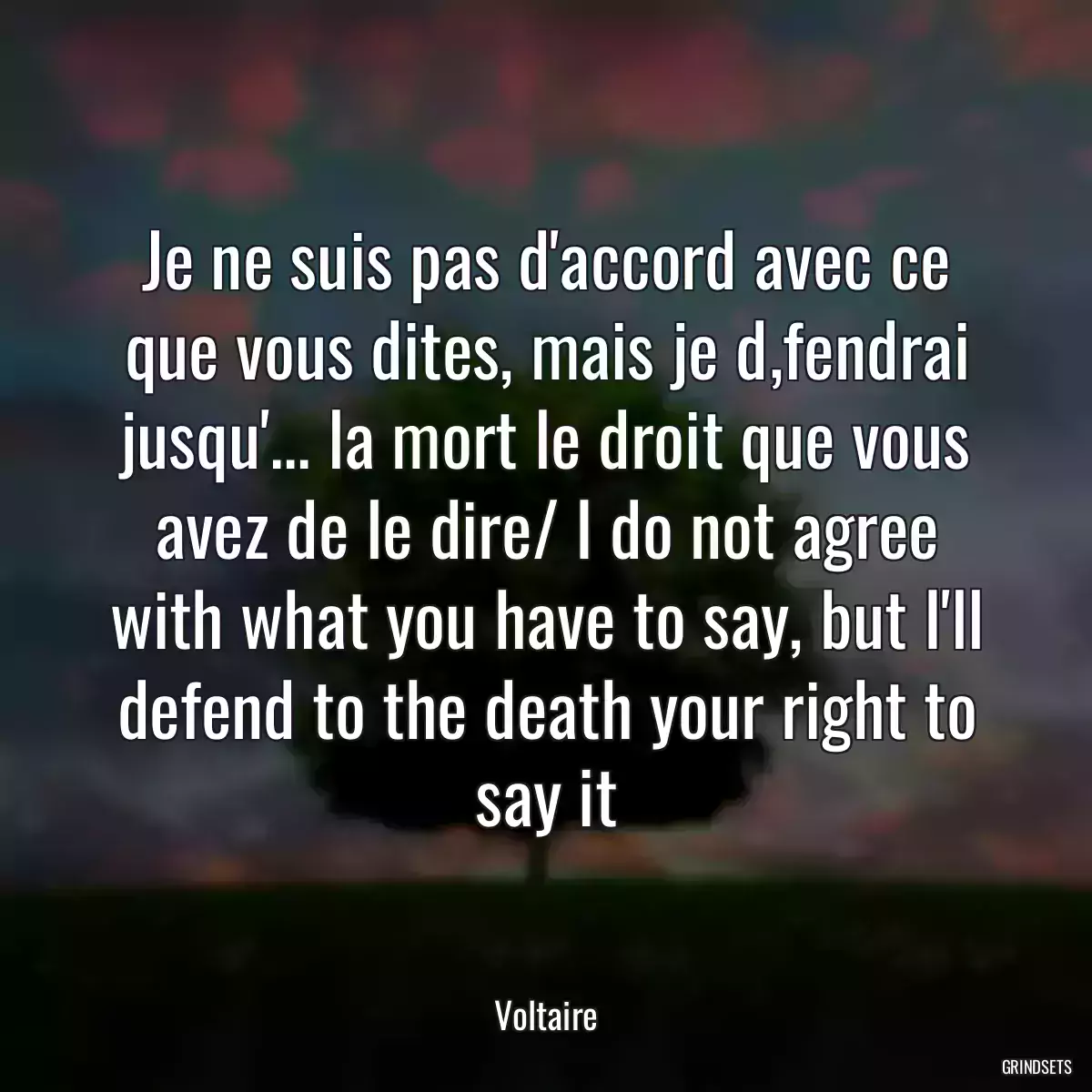 Je ne suis pas d\'accord avec ce que vous dites, mais je d‚fendrai jusqu\'... la mort le droit que vous avez de le dire/ I do not agree with what you have to say, but I\'ll defend to the death your right to say it