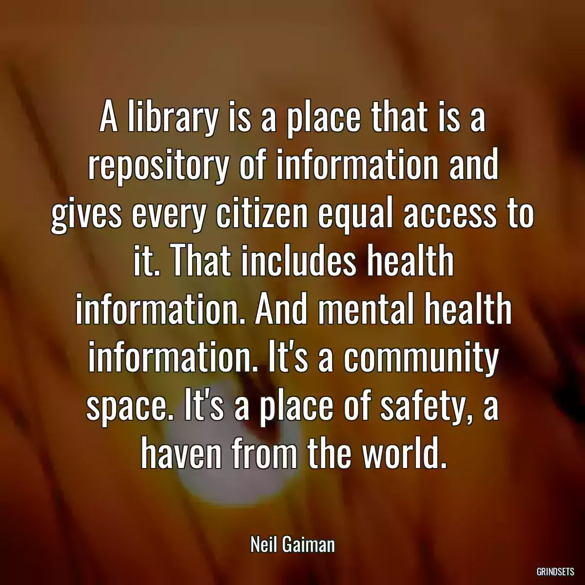 A library is a place that is a repository of information and gives every citizen equal access to it. That includes health information. And mental health information. It\'s a community space. It\'s a place of safety, a haven from the world.