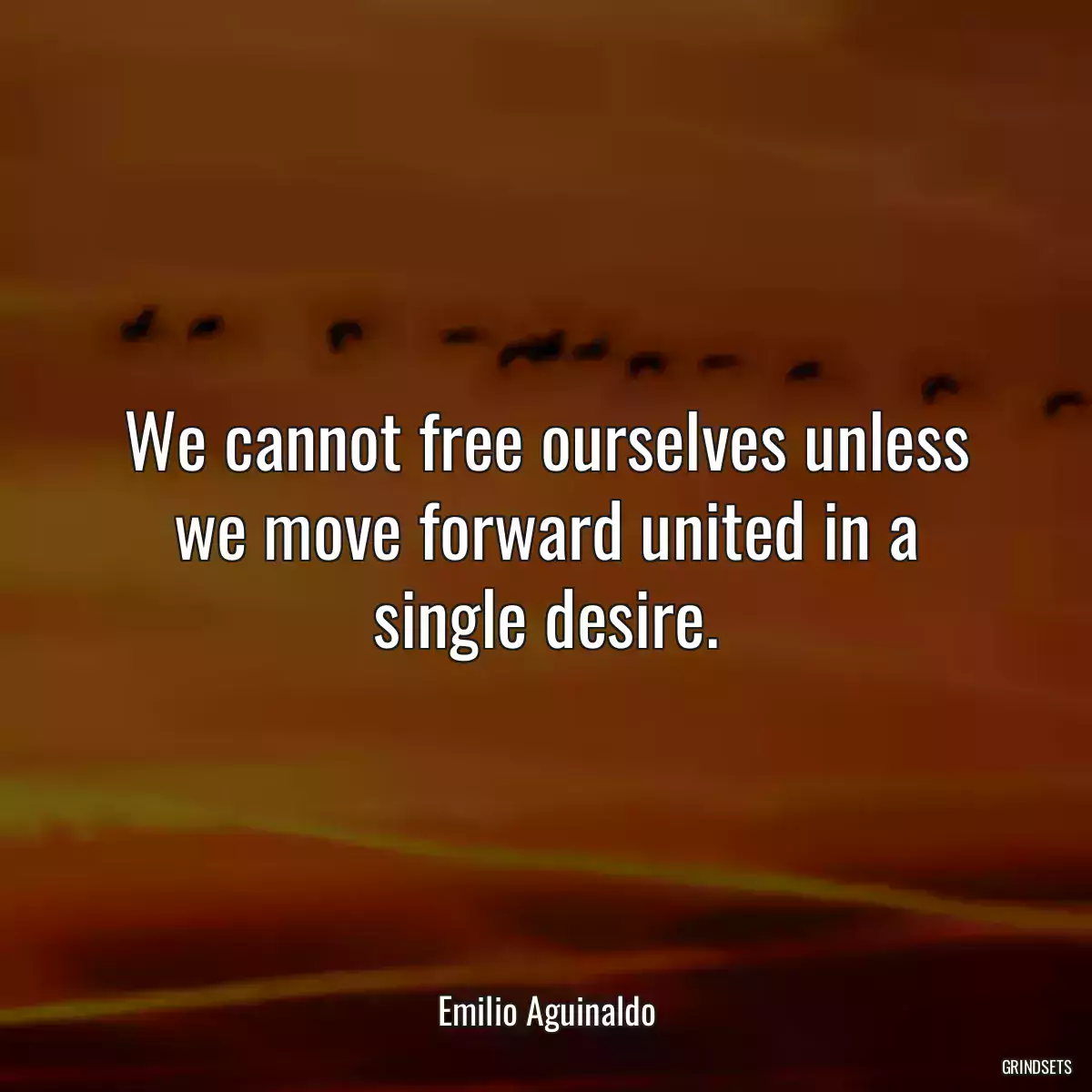 We cannot free ourselves unless we move forward united in a single desire.