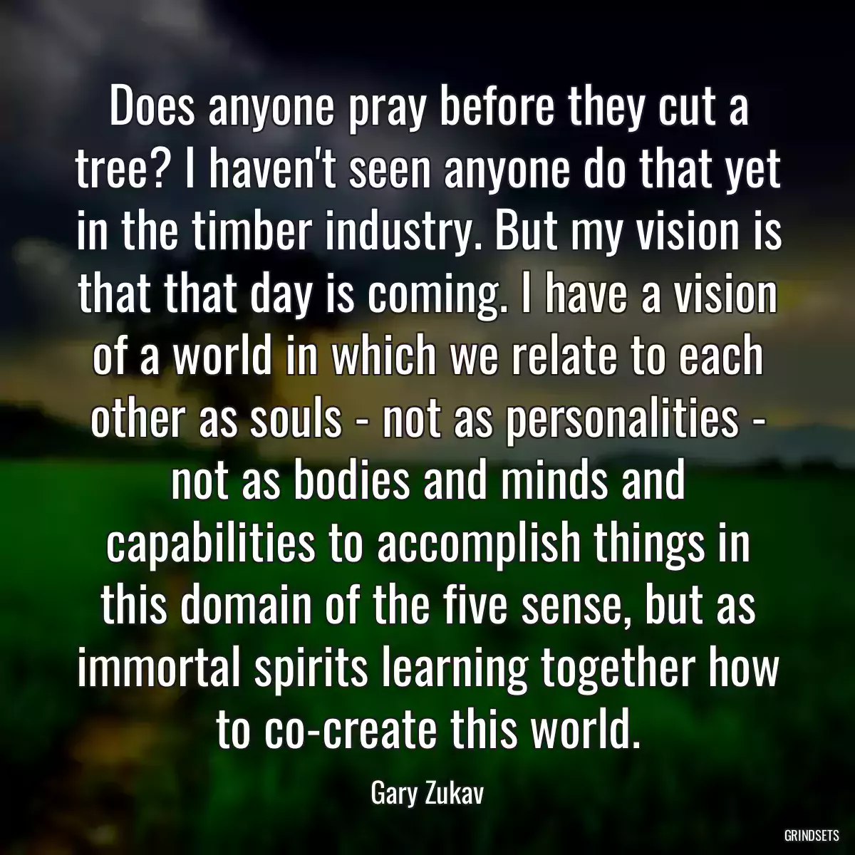 Does anyone pray before they cut a tree? I haven\'t seen anyone do that yet in the timber industry. But my vision is that that day is coming. I have a vision of a world in which we relate to each other as souls - not as personalities - not as bodies and minds and capabilities to accomplish things in this domain of the five sense, but as immortal spirits learning together how to co-create this world.