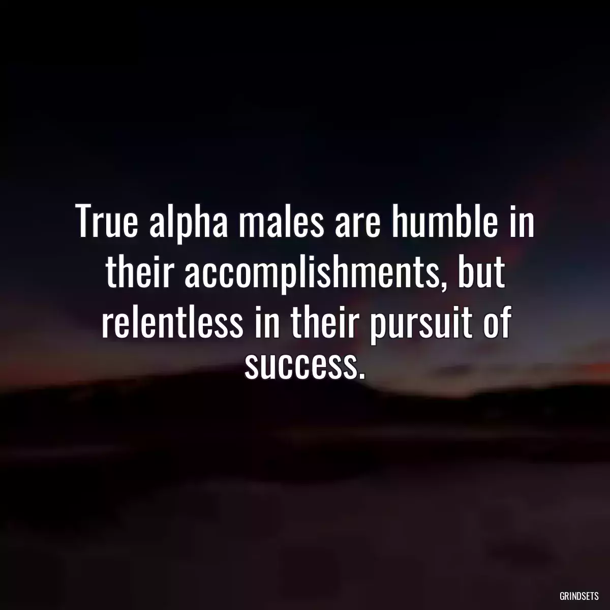 True alpha males are humble in their accomplishments, but relentless in their pursuit of success.