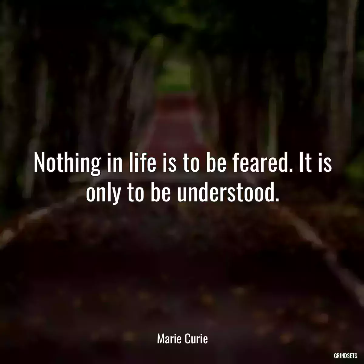 Nothing in life is to be feared. It is only to be understood.