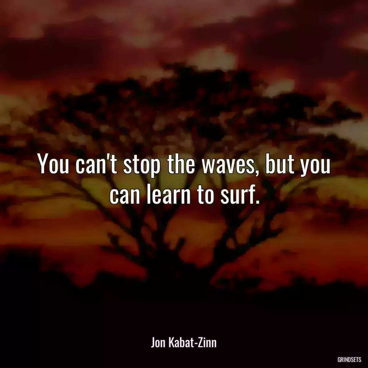 You can\'t stop the waves, but you can learn to surf.