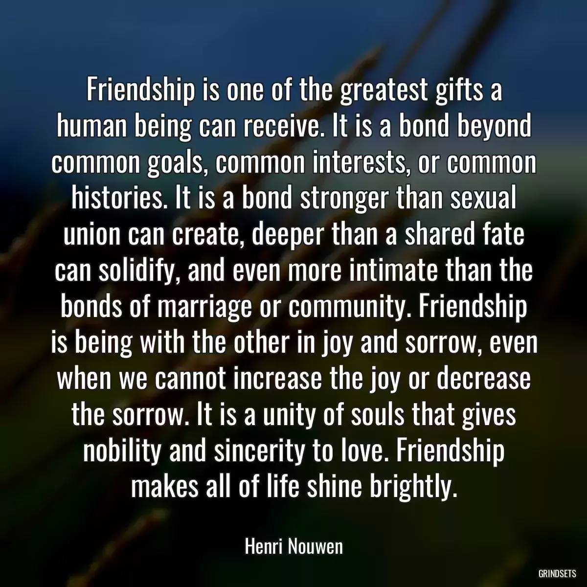 Friendship is one of the greatest gifts a human being can receive. It is a bond beyond common goals, common interests, or common histories. It is a bond stronger than sexual union can create, deeper than a shared fate can solidify, and even more intimate than the bonds of marriage or community. Friendship is being with the other in joy and sorrow, even when we cannot increase the joy or decrease the sorrow. It is a unity of souls that gives nobility and sincerity to love. Friendship makes all of life shine brightly.