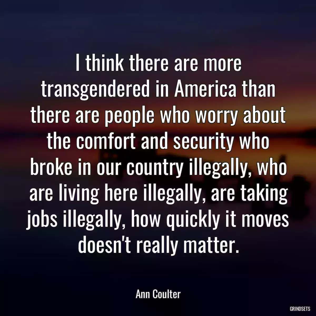 I think there are more transgendered in America than there are people who worry about the comfort and security who broke in our country illegally, who are living here illegally, are taking jobs illegally, how quickly it moves doesn\'t really matter.