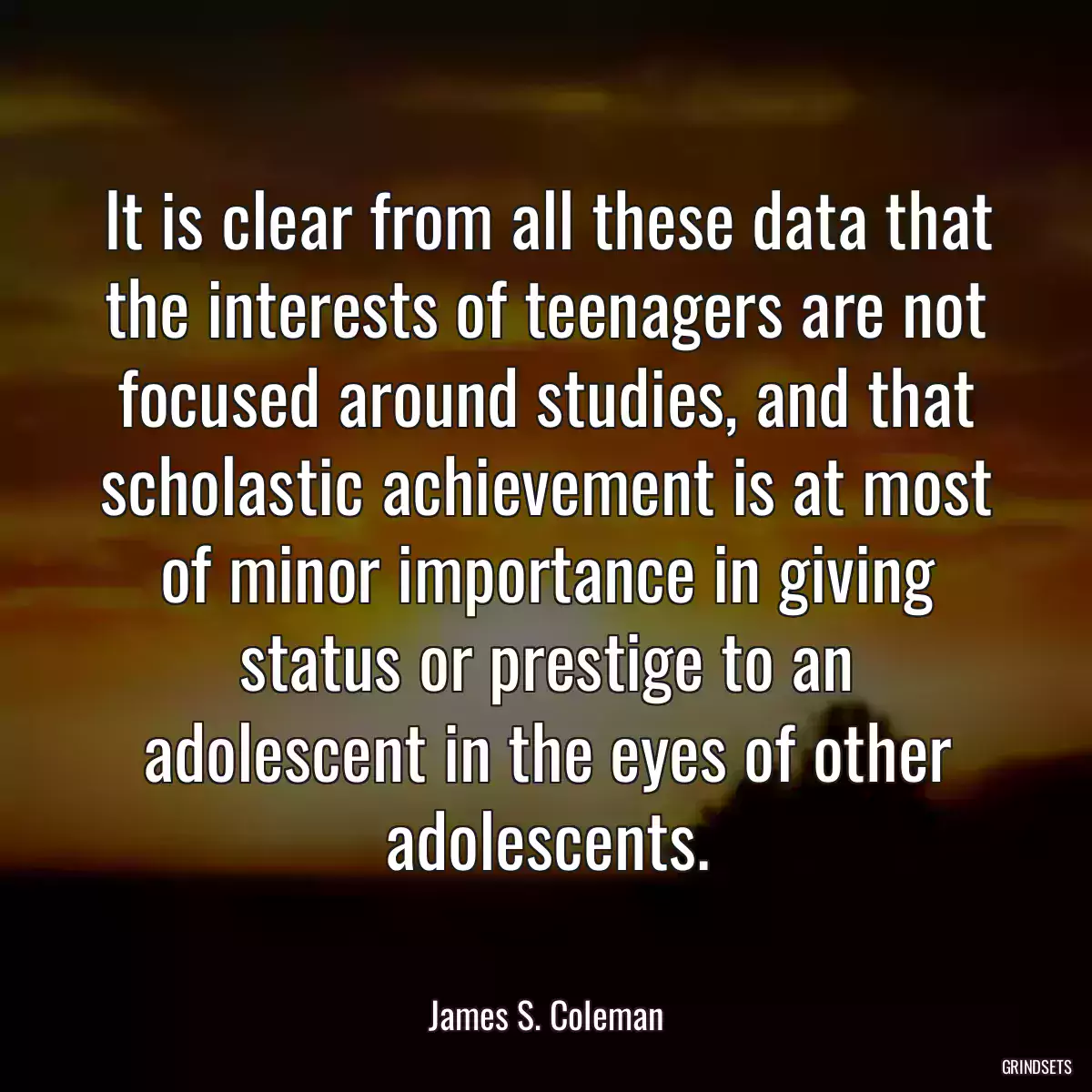 It is clear from all these data that the interests of teenagers are not focused around studies, and that scholastic achievement is at most of minor importance in giving status or prestige to an adolescent in the eyes of other adolescents.