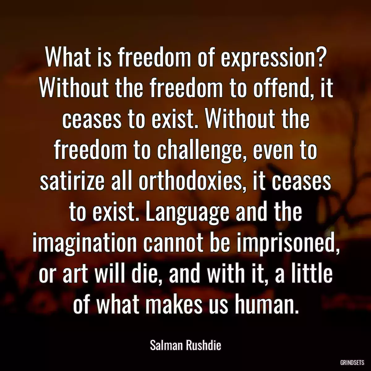 What is freedom of expression? Without the freedom to offend, it ceases to exist. Without the freedom to challenge, even to satirize all orthodoxies, it ceases to exist. Language and the imagination cannot be imprisoned, or art will die, and with it, a little of what makes us human.