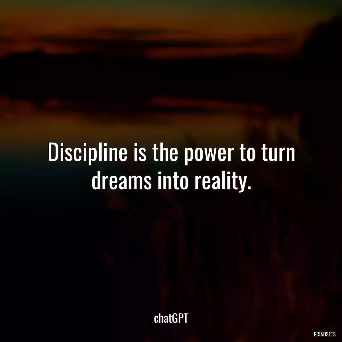 Discipline is the power to turn dreams into reality.