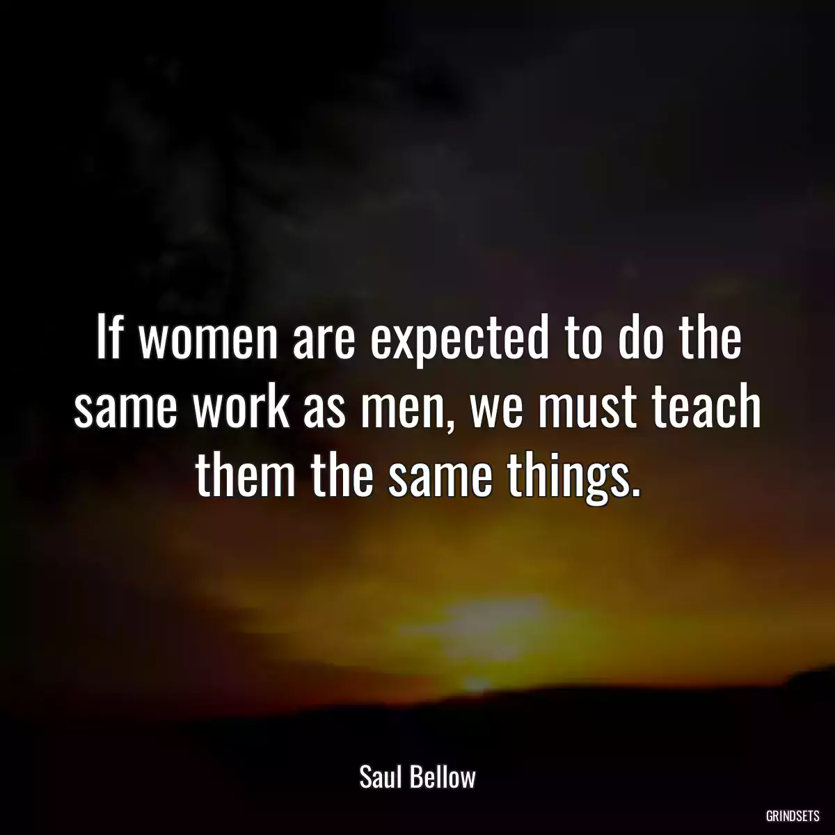 If women are expected to do the same work as men, we must teach them the same things.