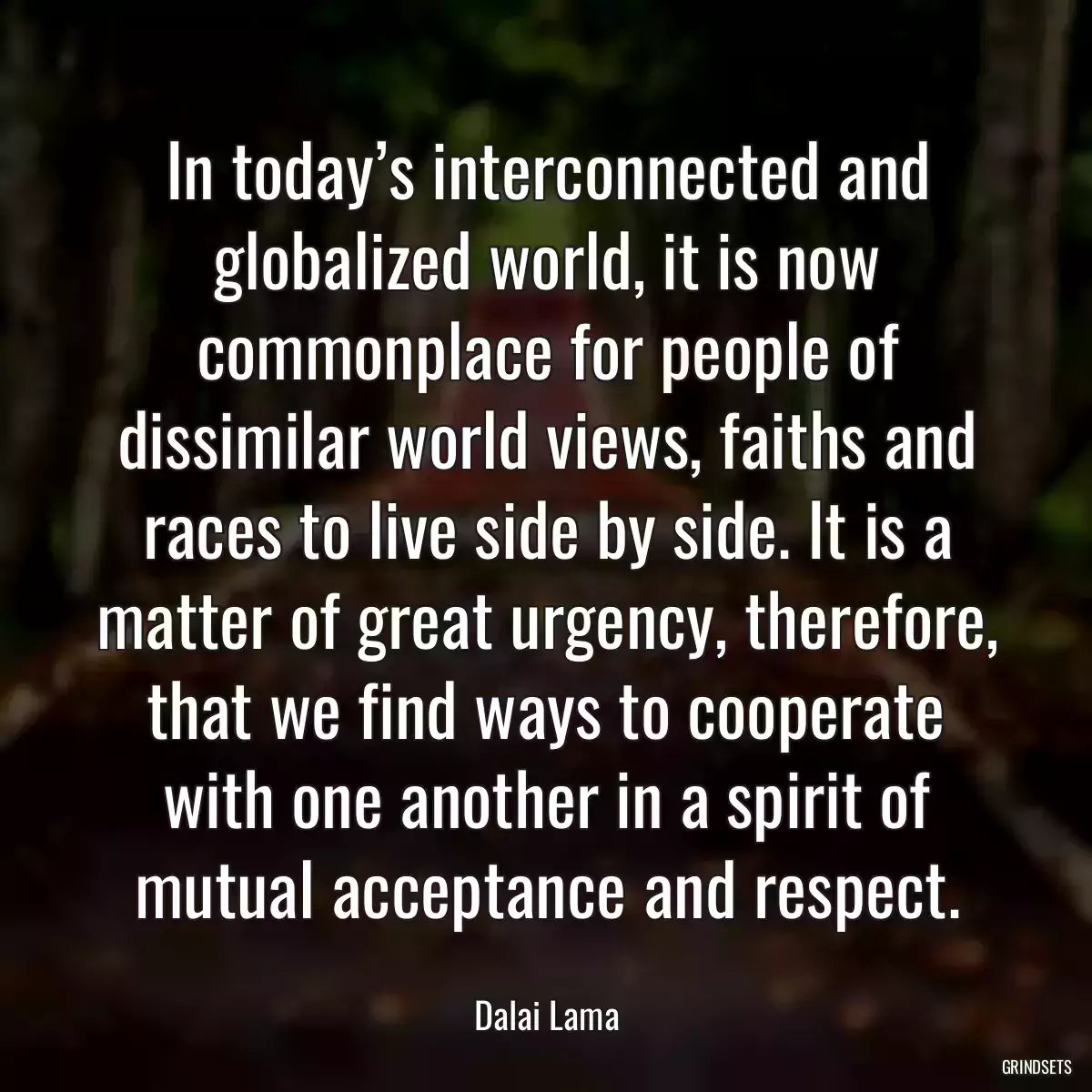 In today’s interconnected and globalized world, it is now commonplace for people of dissimilar world views, faiths and races to live side by side. It is a matter of great urgency, therefore, that we find ways to cooperate with one another in a spirit of mutual acceptance and respect.