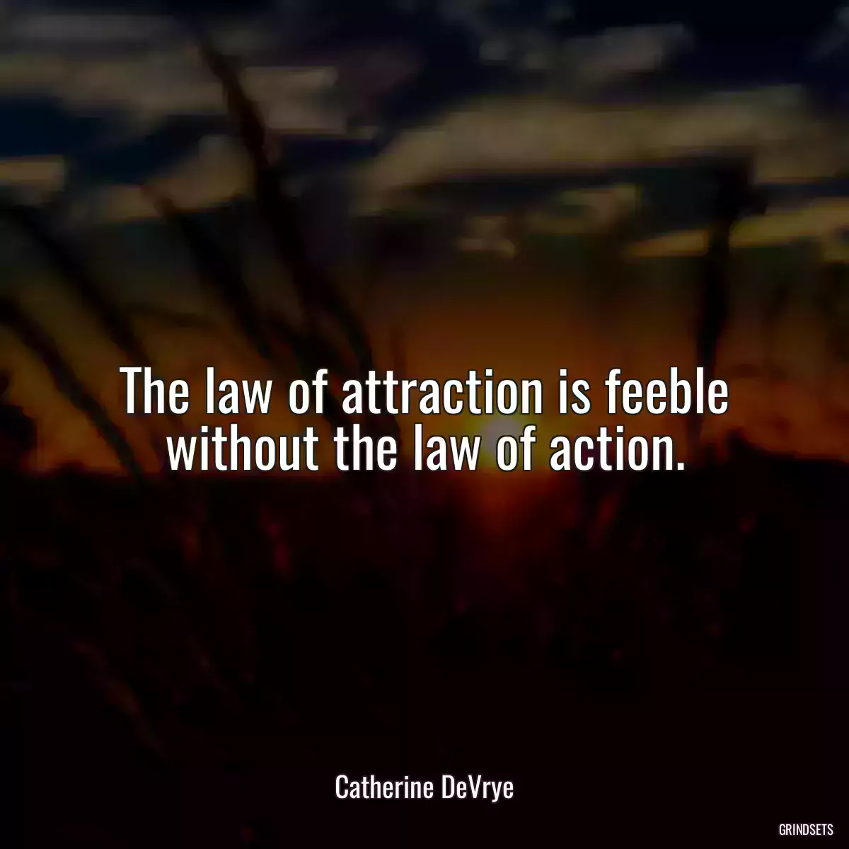 The law of attraction is feeble without the law of action.