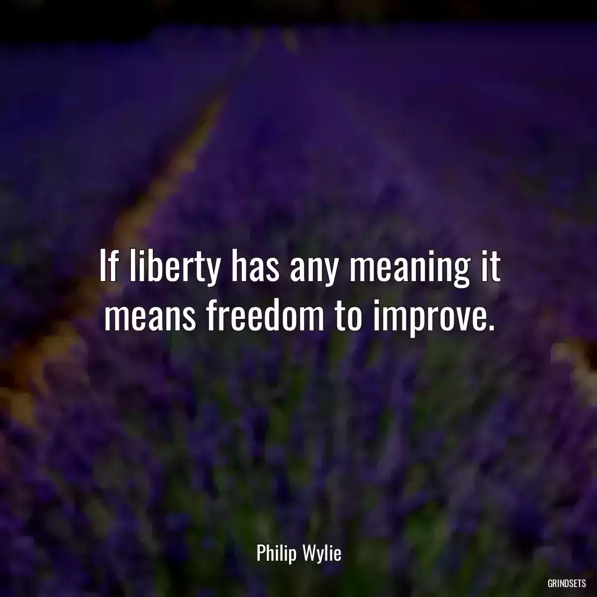 If liberty has any meaning it means freedom to improve.