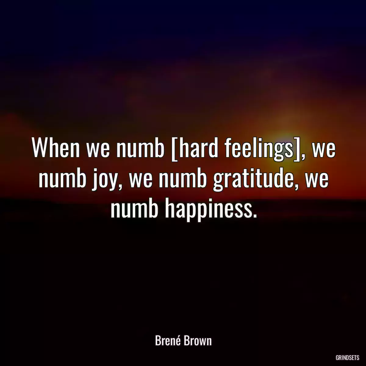 When we numb [hard feelings], we numb joy, we numb gratitude, we numb happiness.