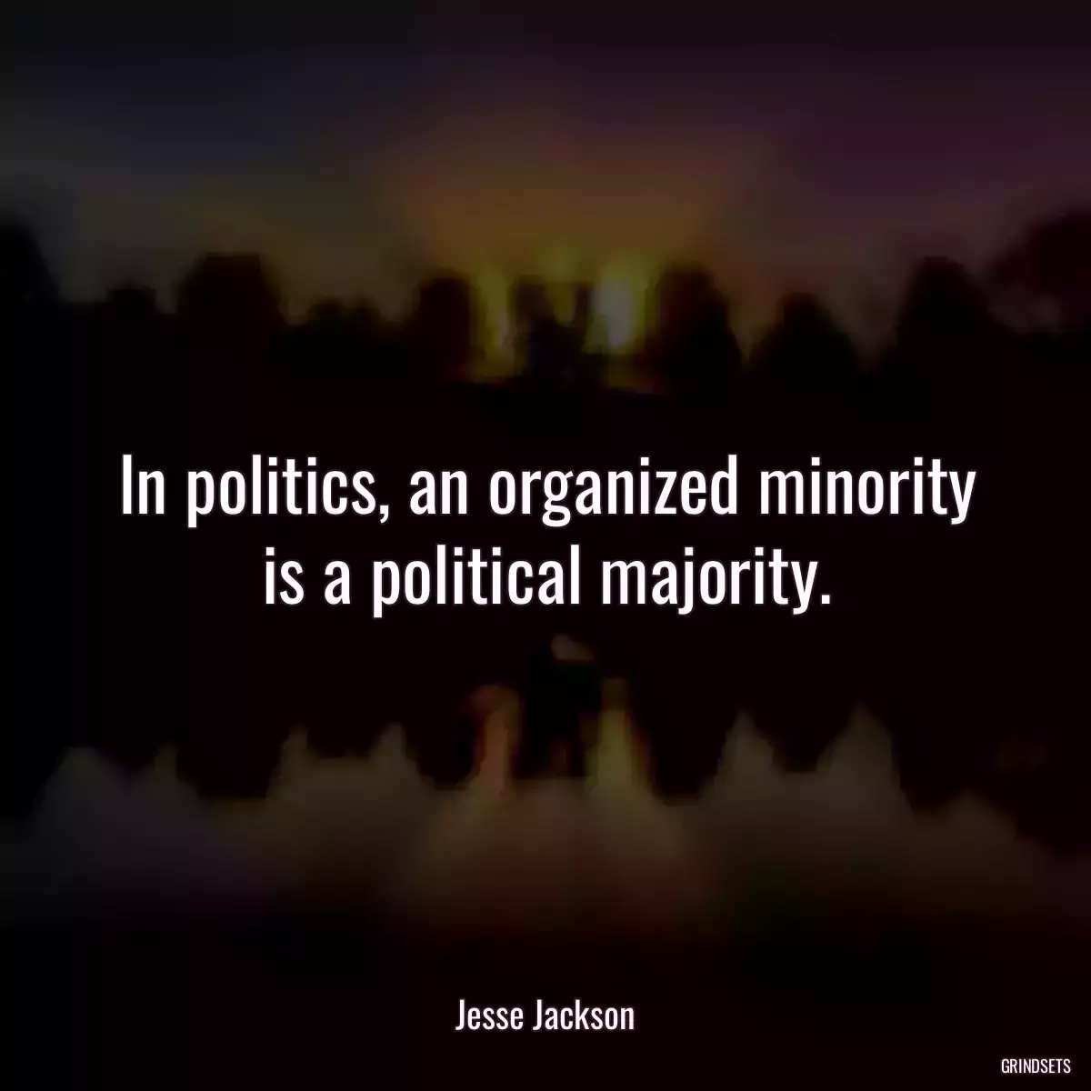 In politics, an organized minority is a political majority.