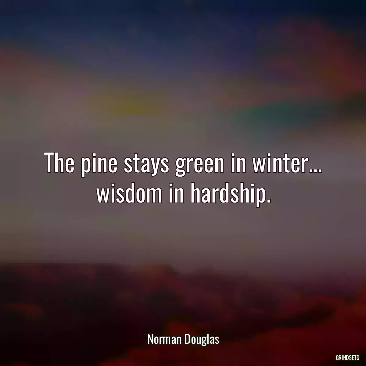 The pine stays green in winter... wisdom in hardship.