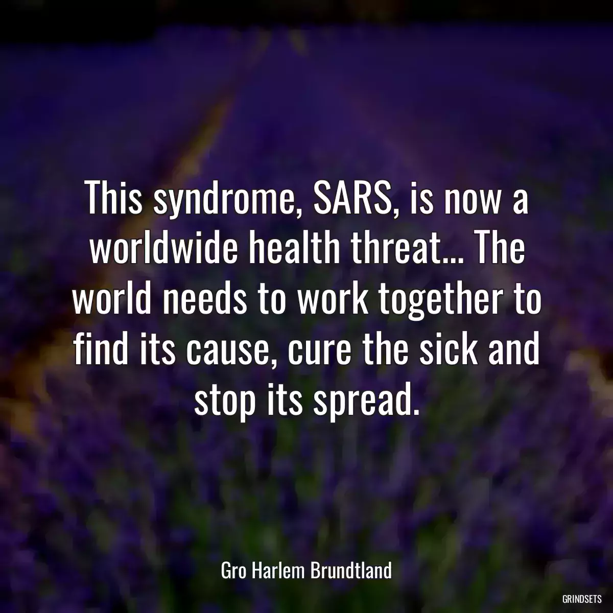 This syndrome, SARS, is now a worldwide health threat... The world needs to work together to find its cause, cure the sick and stop its spread.