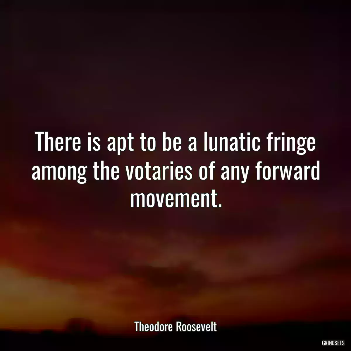 There is apt to be a lunatic fringe among the votaries of any forward movement.