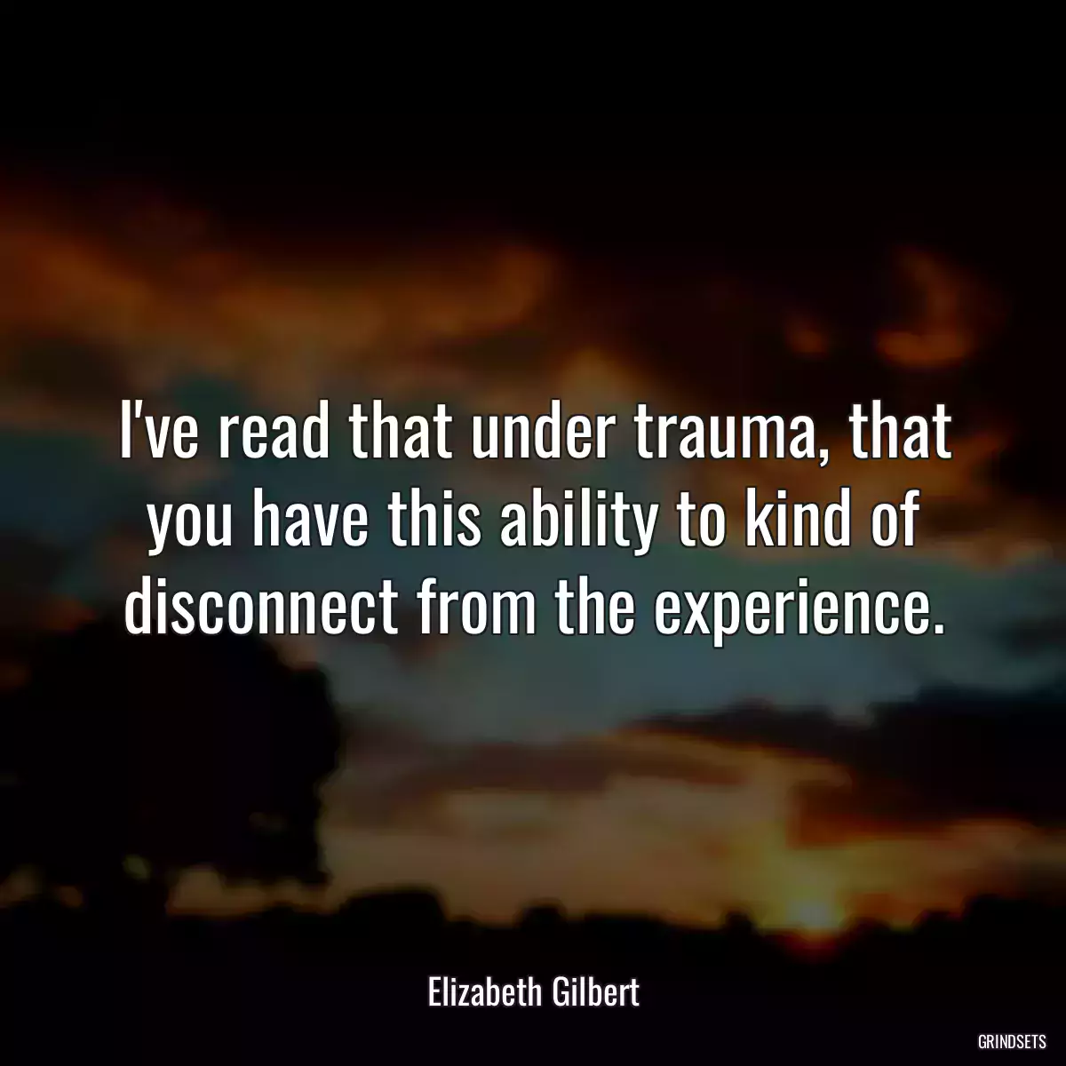 I\'ve read that under trauma, that you have this ability to kind of disconnect from the experience.