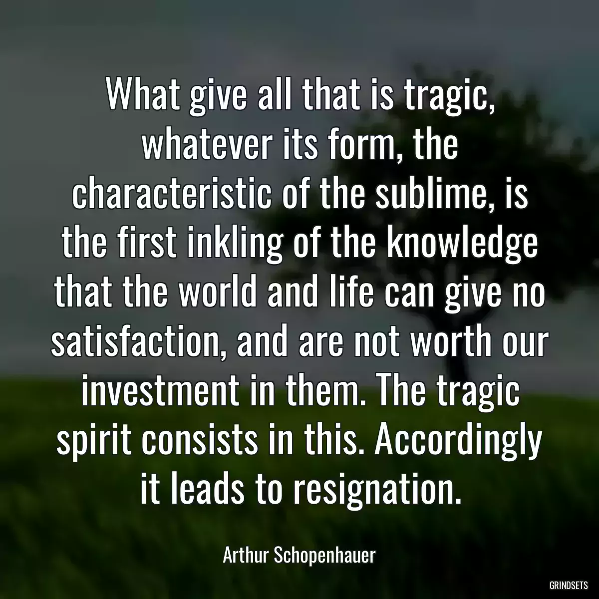 What give all that is tragic, whatever its form, the characteristic of the sublime, is the first inkling of the knowledge that the world and life can give no satisfaction, and are not worth our investment in them. The tragic spirit consists in this. Accordingly it leads to resignation.