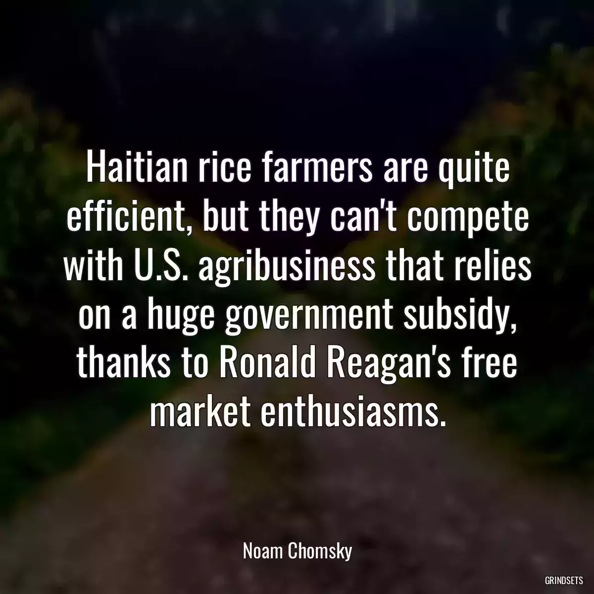 Haitian rice farmers are quite efficient, but they can\'t compete with U.S. agribusiness that relies on a huge government subsidy, thanks to Ronald Reagan\'s free market enthusiasms.