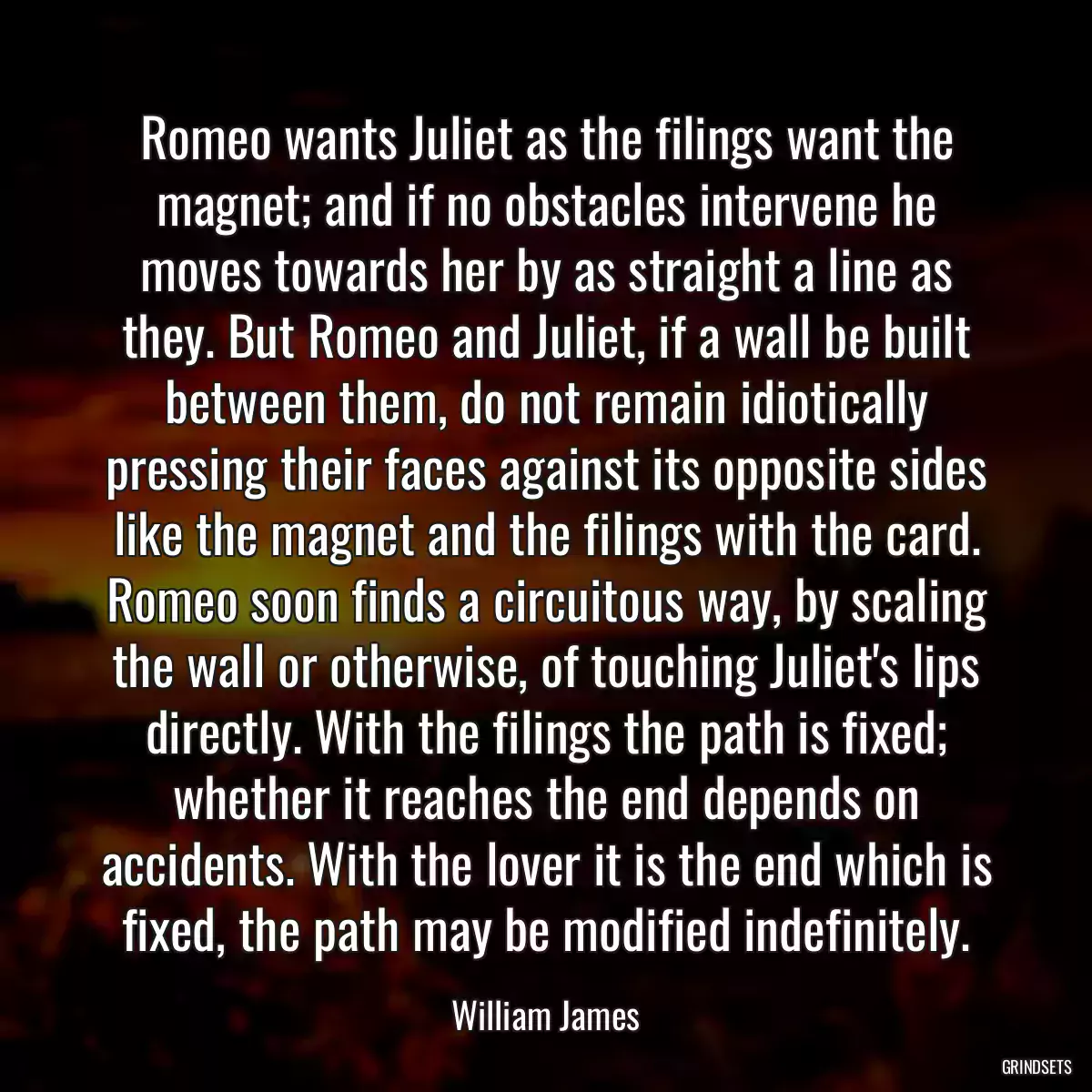 Romeo wants Juliet as the filings want the magnet; and if no obstacles intervene he moves towards her by as straight a line as they. But Romeo and Juliet, if a wall be built between them, do not remain idiotically pressing their faces against its opposite sides like the magnet and the filings with the card. Romeo soon finds a circuitous way, by scaling the wall or otherwise, of touching Juliet\'s lips directly. With the filings the path is fixed; whether it reaches the end depends on accidents. With the lover it is the end which is fixed, the path may be modified indefinitely.