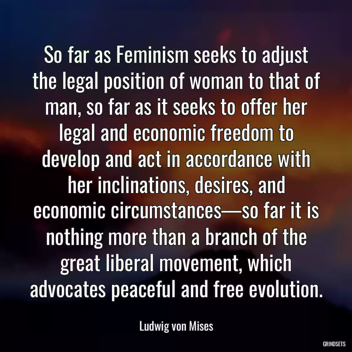 So far as Feminism seeks to adjust the legal position of woman to that of man, so far as it seeks to offer her legal and economic freedom to develop and act in accordance with her inclinations, desires, and economic circumstances—so far it is nothing more than a branch of the great liberal movement, which advocates peaceful and free evolution.