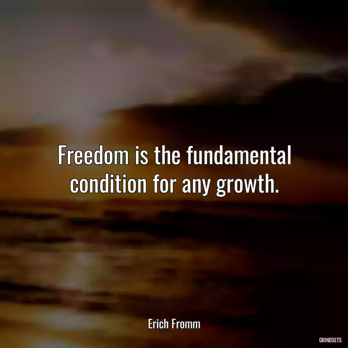 Freedom is the fundamental condition for any growth.