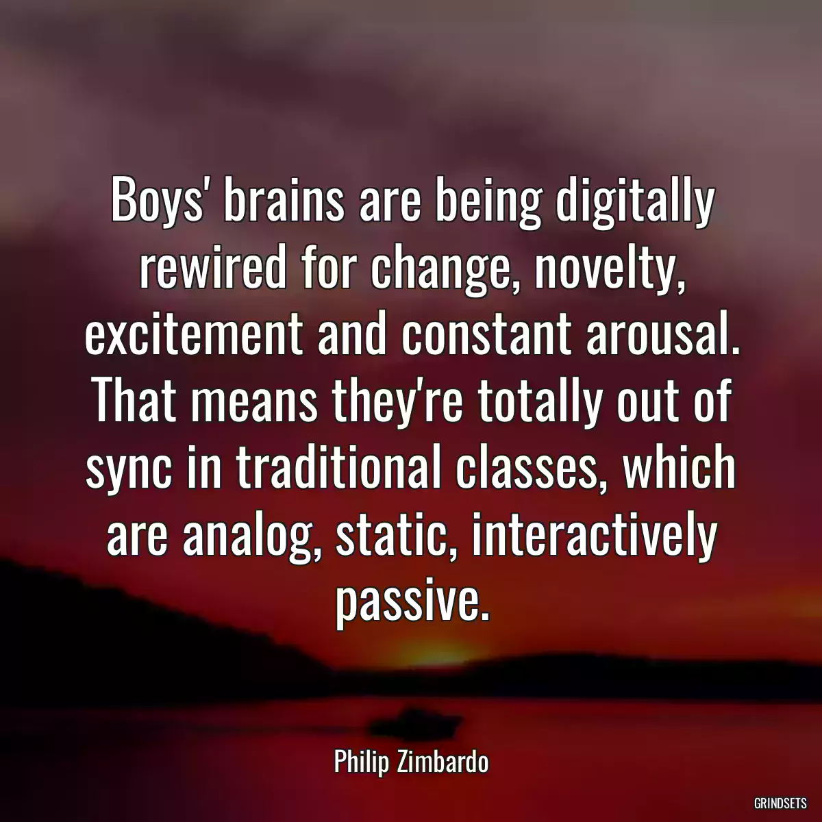 Boys\' brains are being digitally rewired for change, novelty, excitement and constant arousal. That means they\'re totally out of sync in traditional classes, which are analog, static, interactively passive.