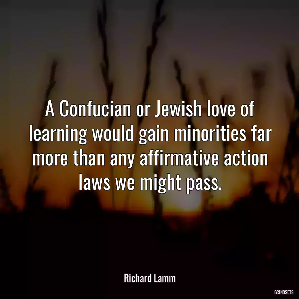 A Confucian or Jewish love of learning would gain minorities far more than any affirmative action laws we might pass.