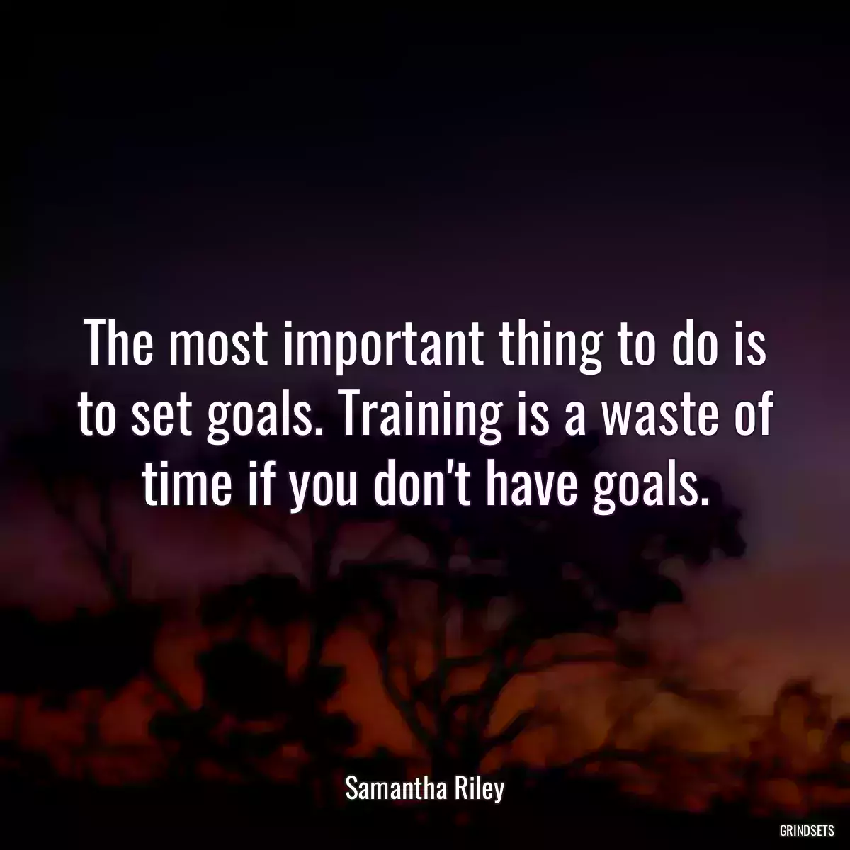 The most important thing to do is to set goals. Training is a waste of time if you don\'t have goals.