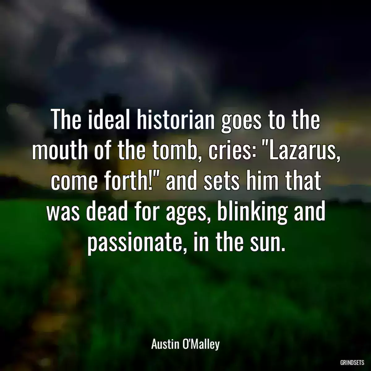 The ideal historian goes to the mouth of the tomb, cries: \