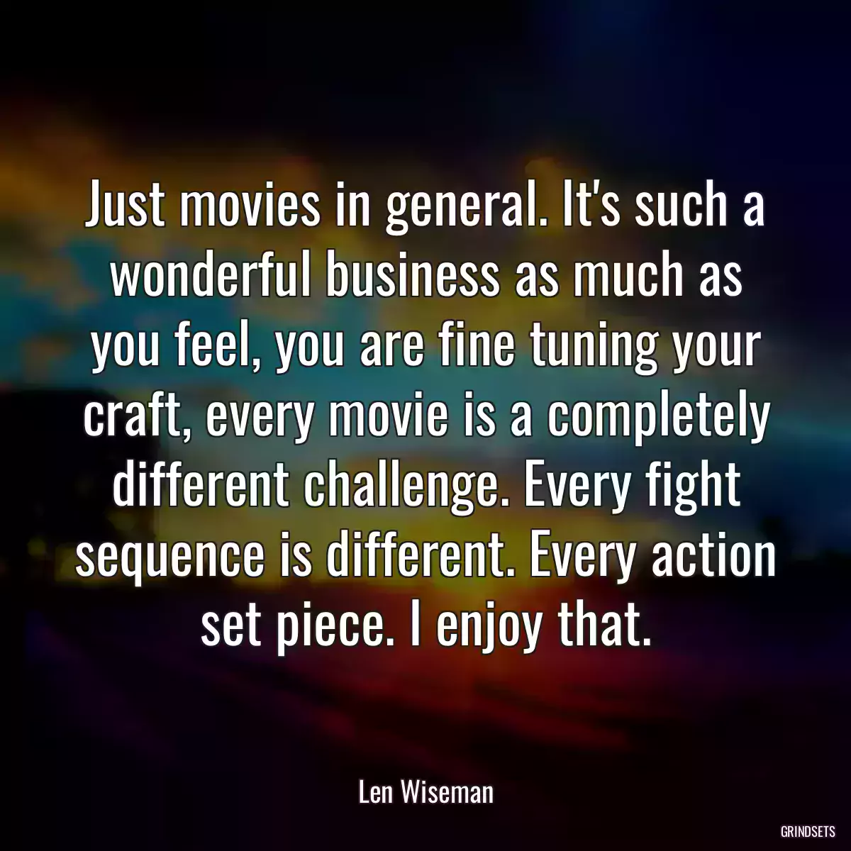 Just movies in general. It\'s such a wonderful business as much as you feel, you are fine tuning your craft, every movie is a completely different challenge. Every fight sequence is different. Every action set piece. I enjoy that.