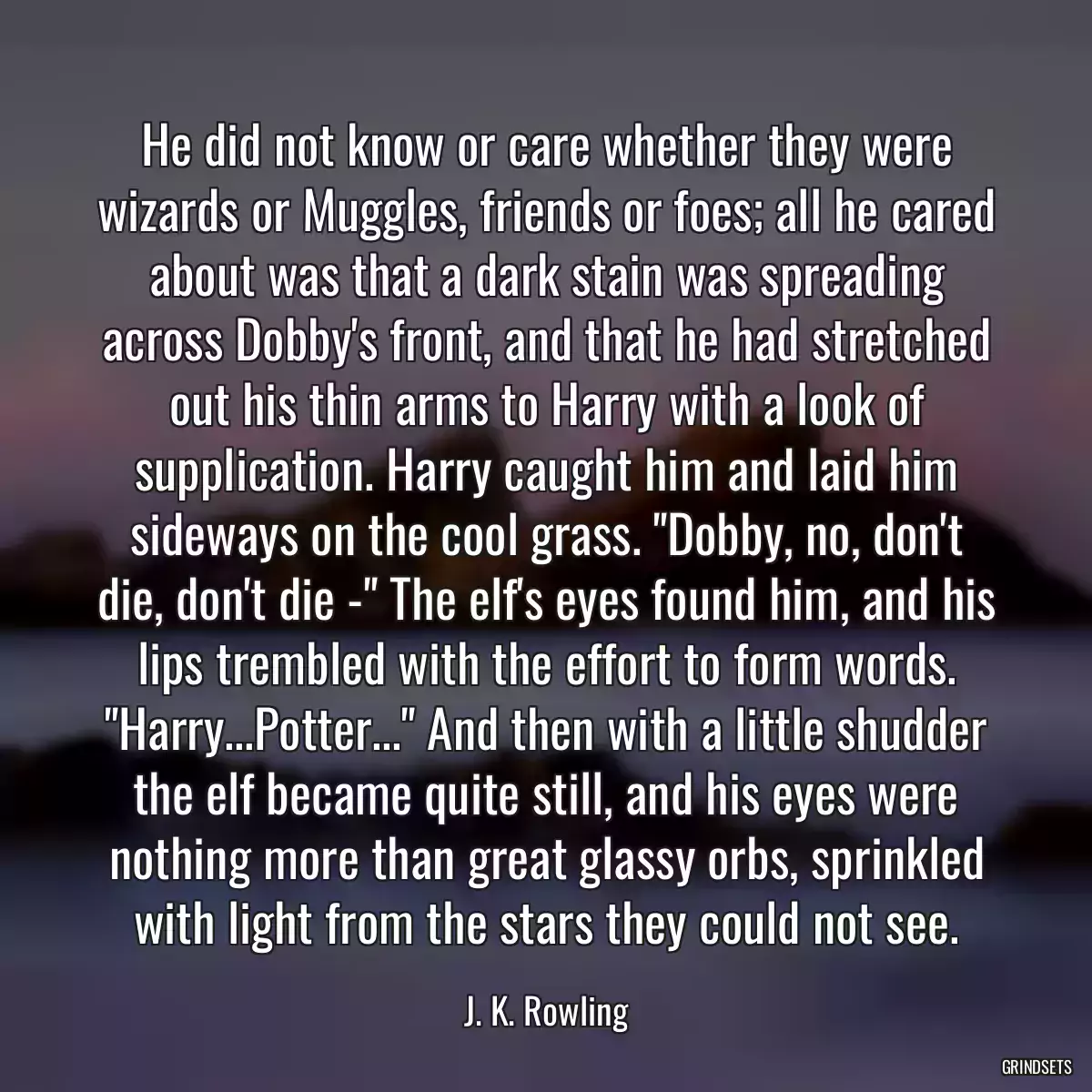 He did not know or care whether they were wizards or Muggles, friends or foes; all he cared about was that a dark stain was spreading across Dobby\'s front, and that he had stretched out his thin arms to Harry with a look of supplication. Harry caught him and laid him sideways on the cool grass. \