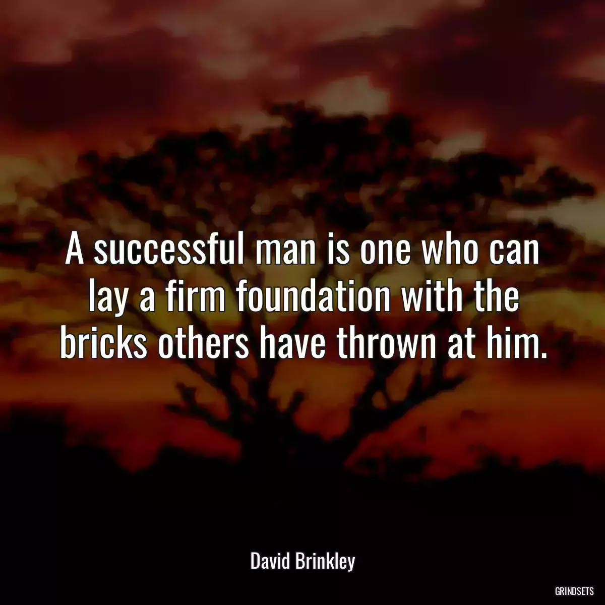 A successful man is one who can lay a firm foundation with the bricks others have thrown at him.