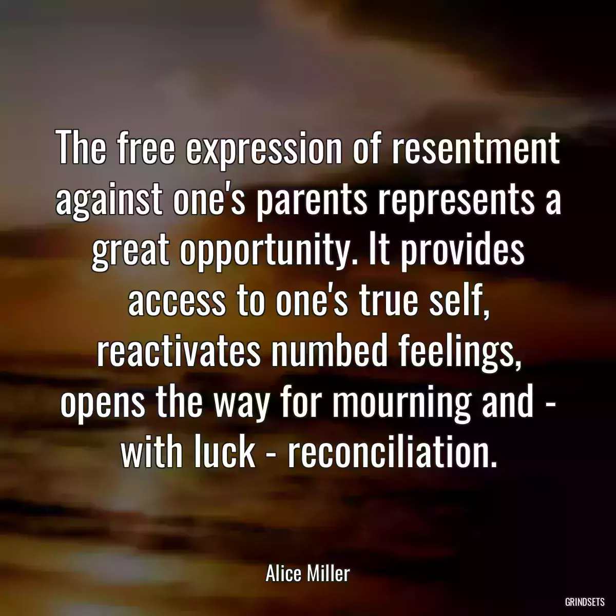 The free expression of resentment against one\'s parents represents a great opportunity. It provides access to one\'s true self, reactivates numbed feelings, opens the way for mourning and - with luck - reconciliation.