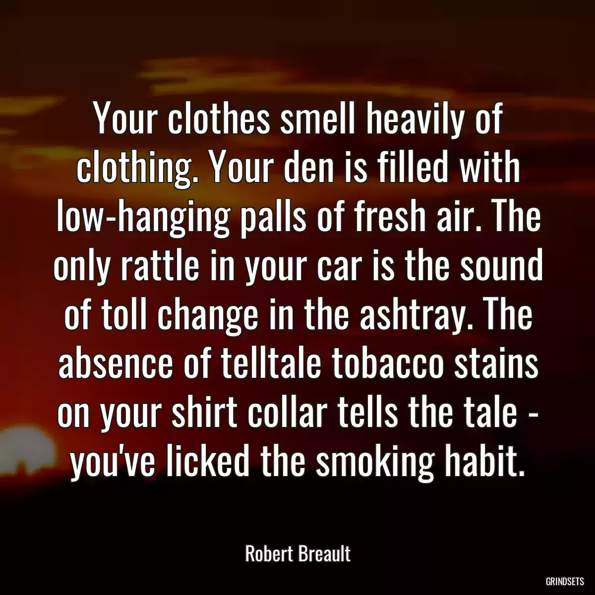 Your clothes smell heavily of clothing. Your den is filled with low-hanging palls of fresh air. The only rattle in your car is the sound of toll change in the ashtray. The absence of telltale tobacco stains on your shirt collar tells the tale - you\'ve licked the smoking habit.