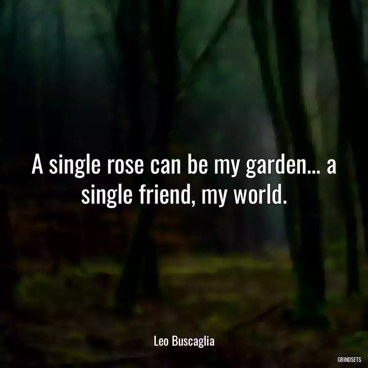 A single rose can be my garden... a single friend, my world.