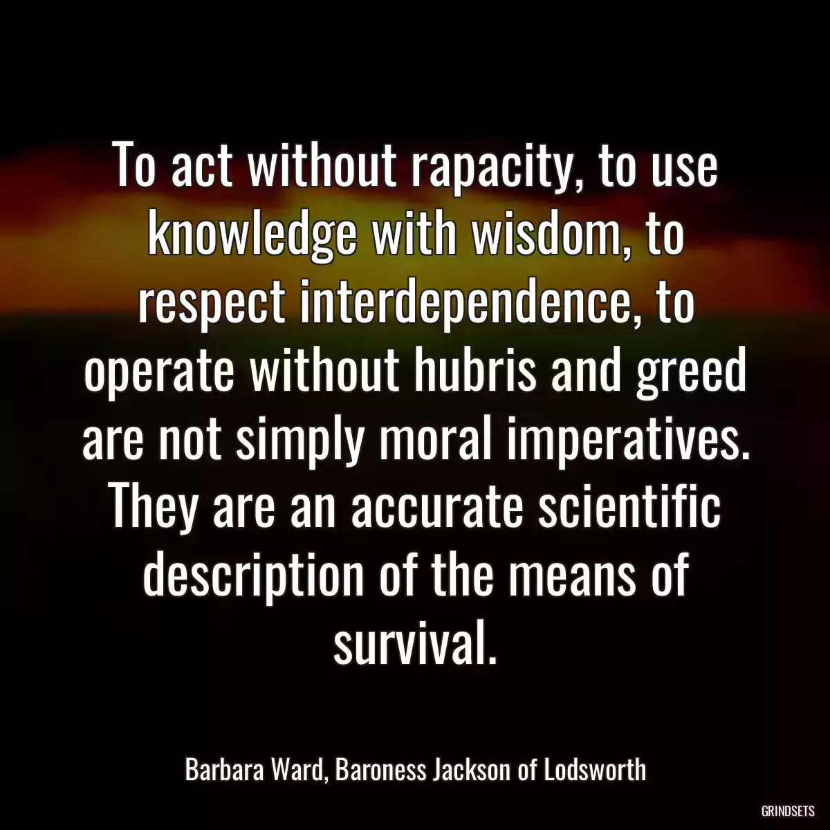 To act without rapacity, to use knowledge with wisdom, to respect interdependence, to operate without hubris and greed are not simply moral imperatives. They are an accurate scientific description of the means of survival.