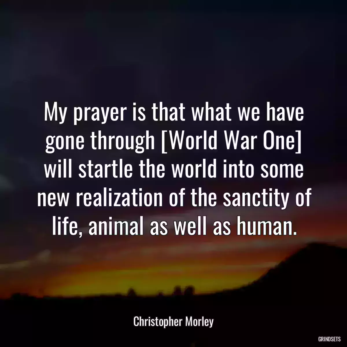 My prayer is that what we have gone through [World War One] will startle the world into some new realization of the sanctity of life, animal as well as human.