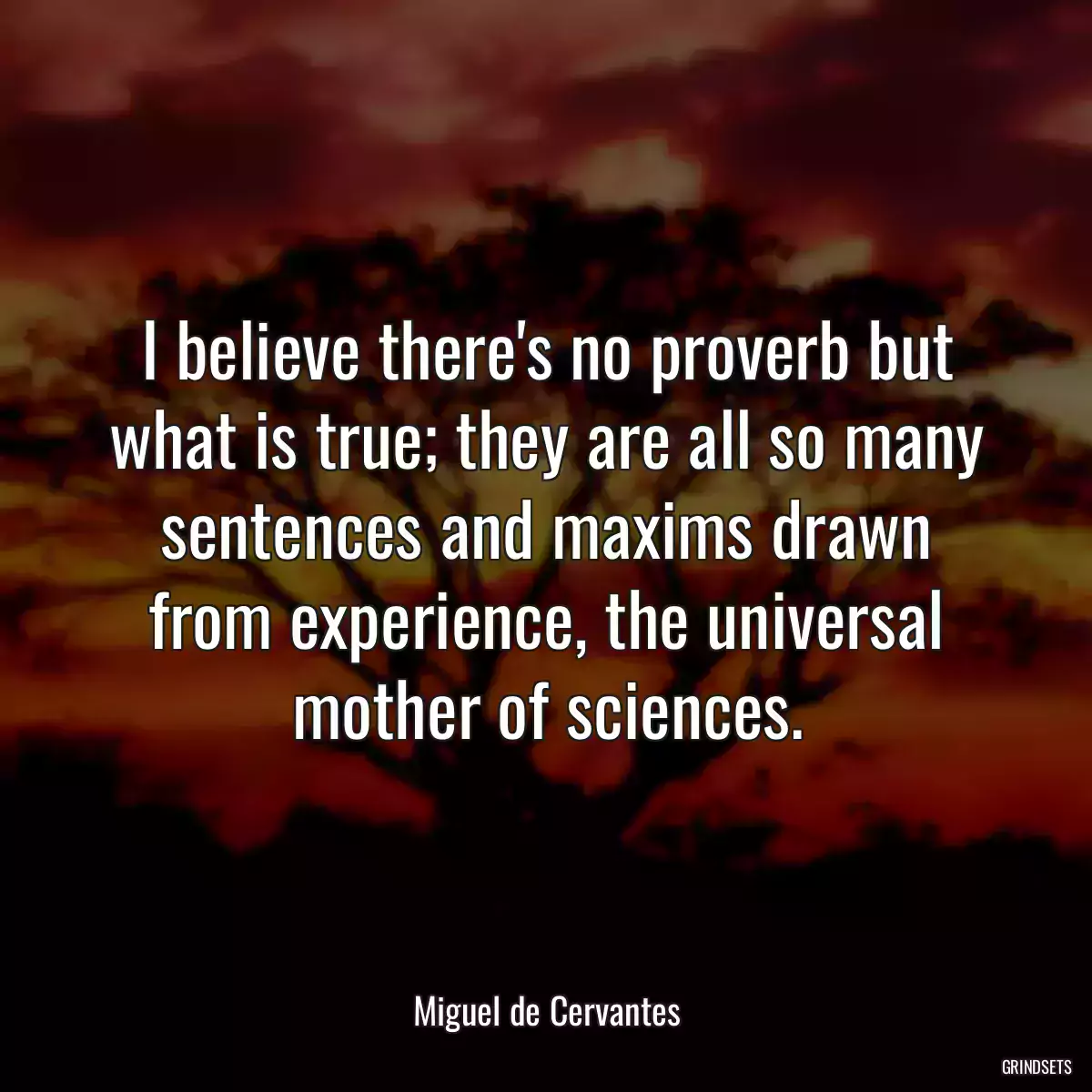 I believe there\'s no proverb but what is true; they are all so many sentences and maxims drawn from experience, the universal mother of sciences.